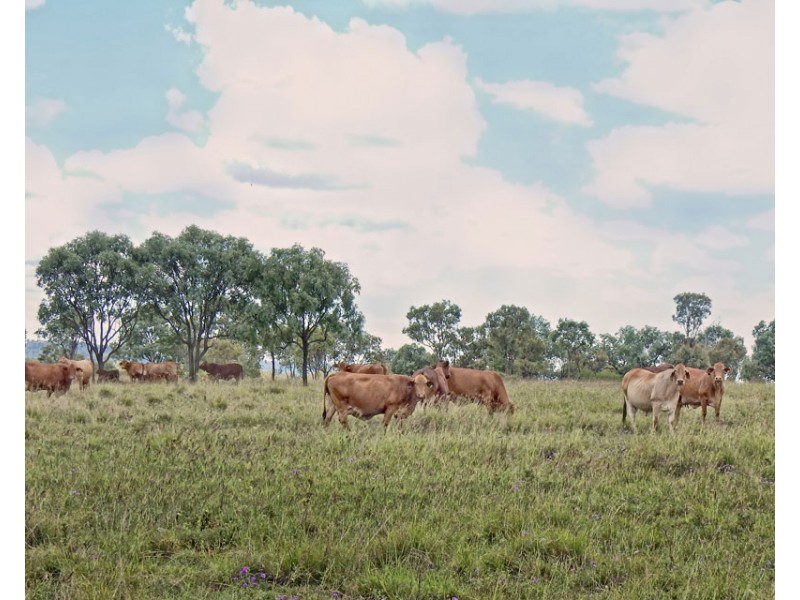 2627 Baralaba-Rannes Road, Baralaba QLD 4702