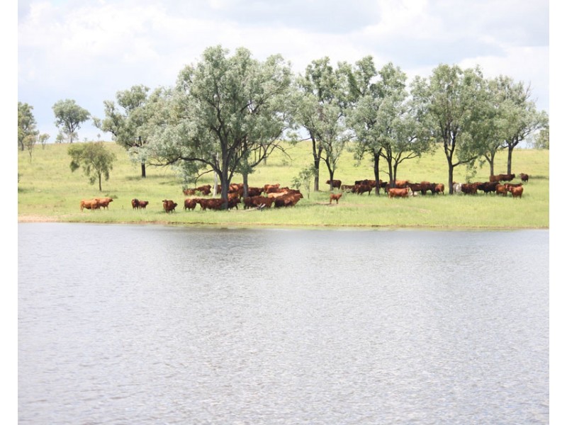 2627 Baralaba-Rannes Road, Baralaba QLD 4702