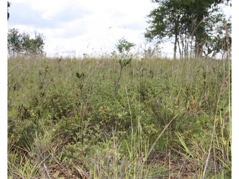 2627 Baralaba-Rannes Road, Baralaba QLD 4702