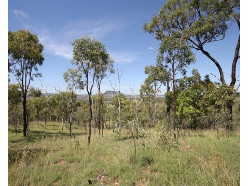 2716 Valentine Plains Road, Valentine Plains QLD 4715