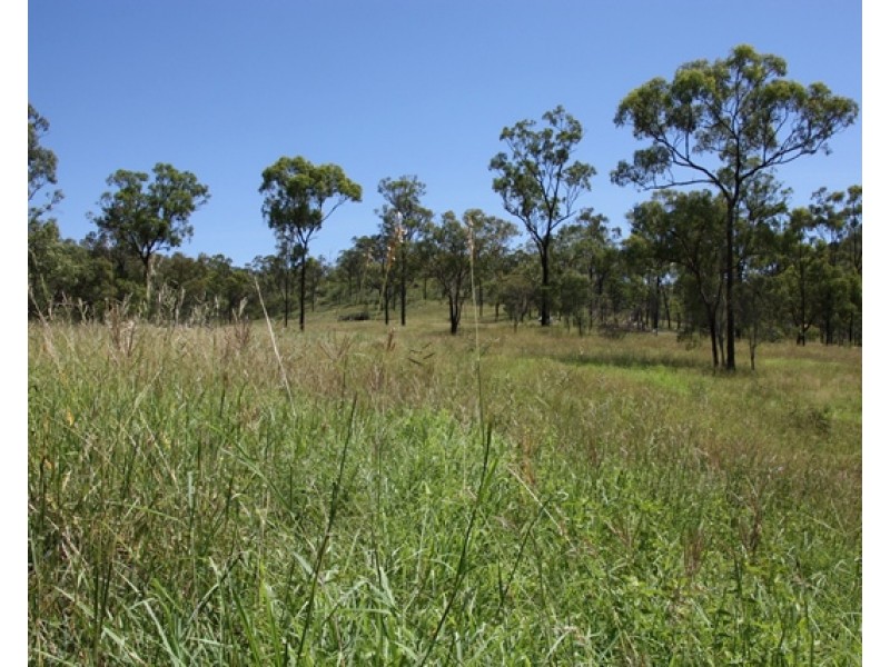 2716 Valentine Plains Road, Valentine Plains QLD 4715