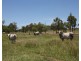 2716 Valentine Plains Road, Valentine Plains QLD 4715