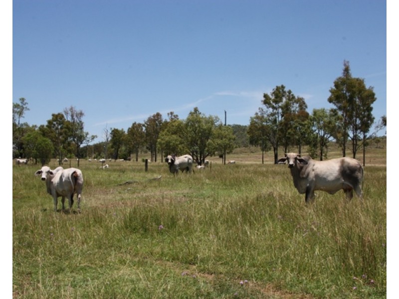 2716 Valentine Plains Road, Valentine Plains QLD 4715