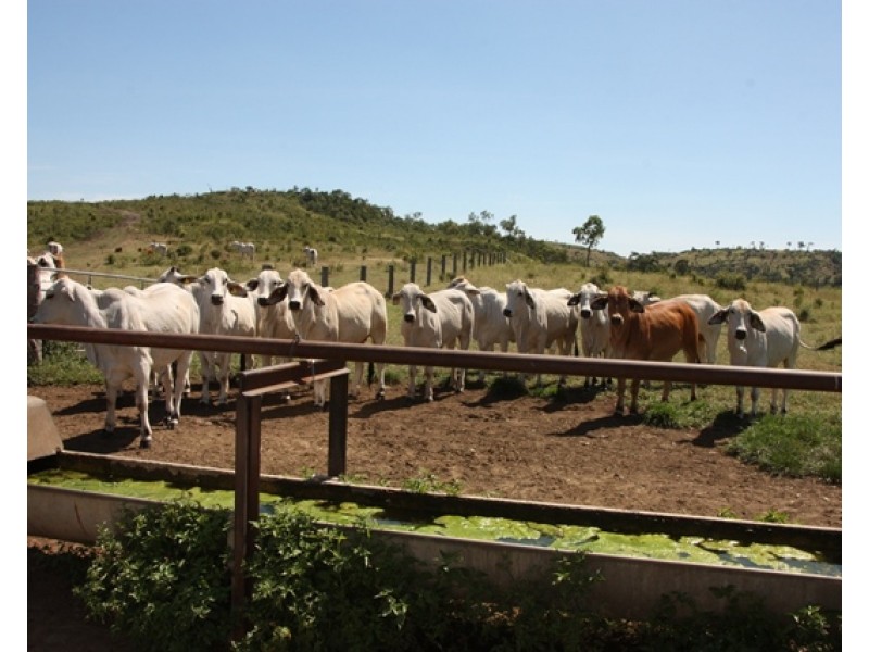 2716 Valentine Plains Road, Valentine Plains QLD 4715