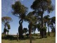 2716 Valentine Plains Road, Valentine Plains QLD 4715
