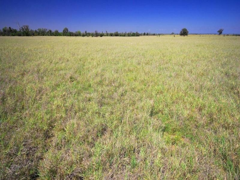 . Fairview Road, Banana QLD 4702