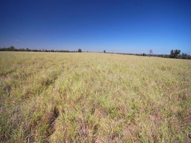 . Fairview Road, Banana QLD 4702