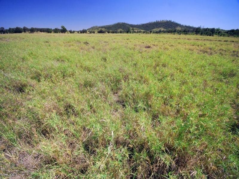 . Fairview Road, Banana QLD 4702