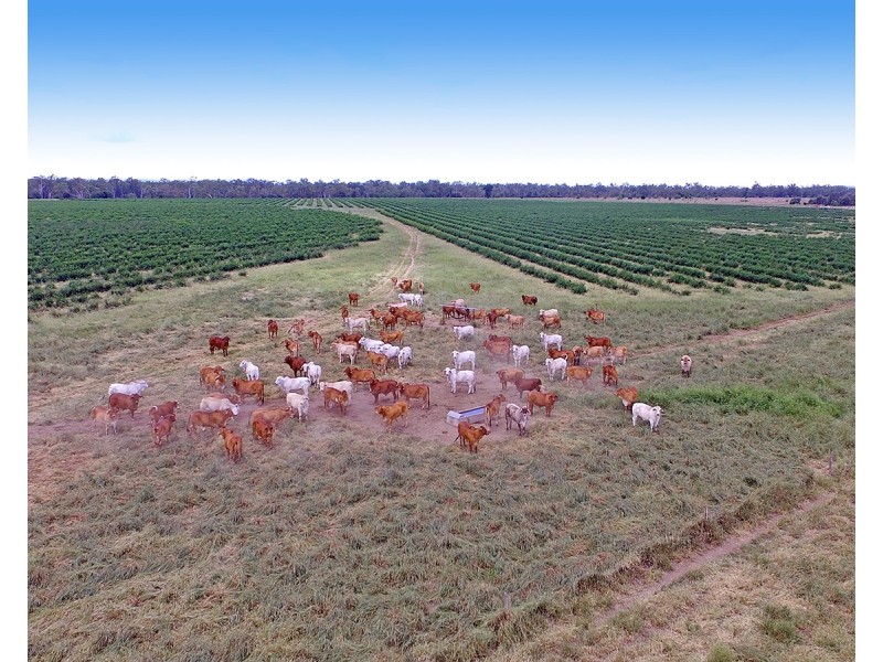 “Comanche”1820 Comanche Road, Glenroy QLD 4702