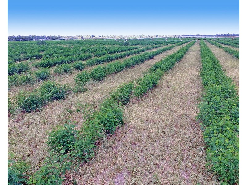 “Comanche”1820 Comanche Road, Glenroy QLD 4702