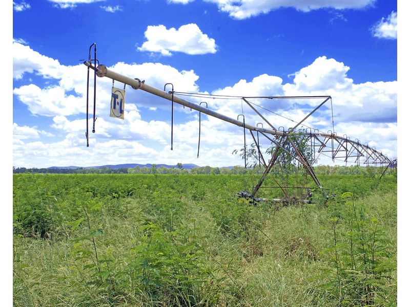 “Comanche”1820 Comanche Road, Glenroy QLD 4702