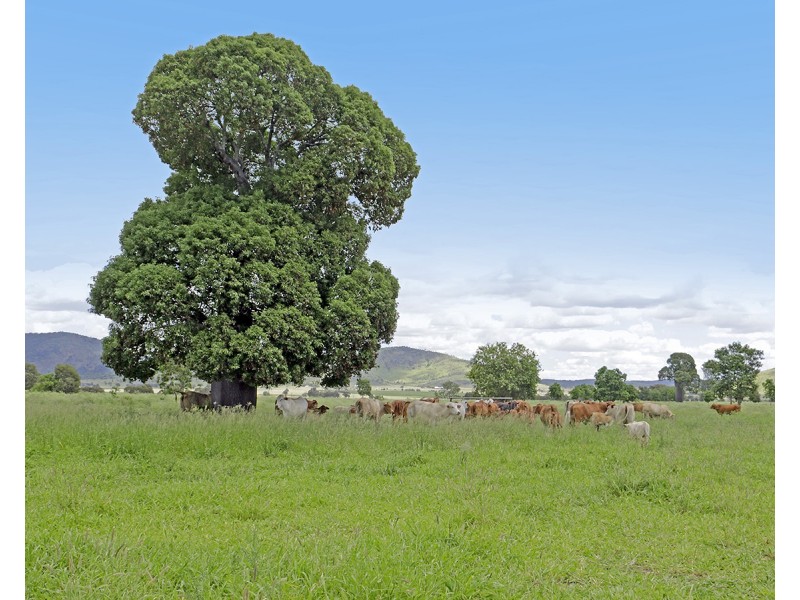 “Comanche”1820 Comanche Road, Glenroy QLD 4702