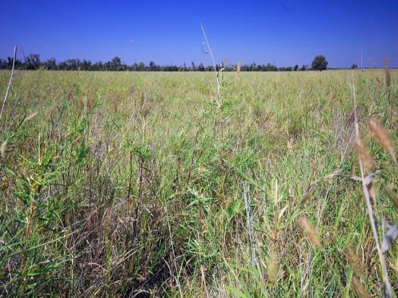 . Fairview Road, Biloela QLD 4715