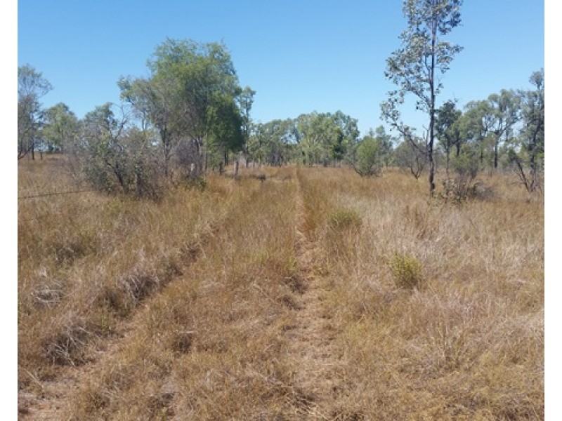 2315 Leichhardt Highway, Dululu QLD 4702