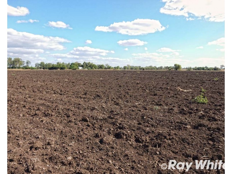 679 Valentine Plains Road, Biloela QLD 4715