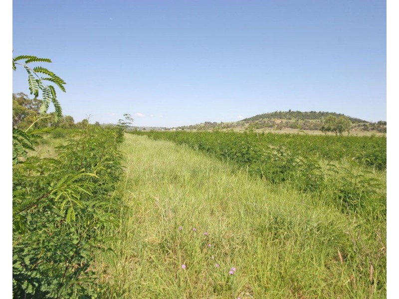 116 Roys Road, Thangool QLD 4716