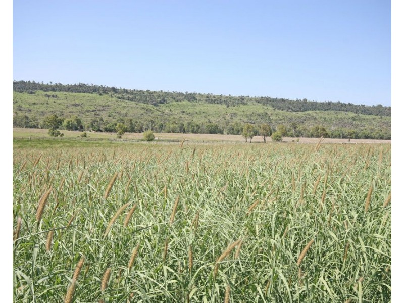 116 Roys Road, Thangool QLD 4716