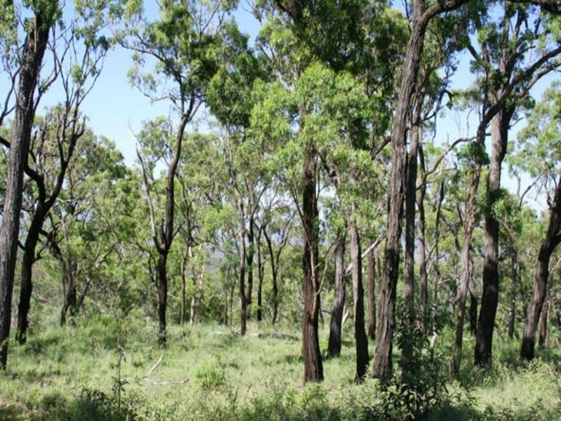 Biloela QLD 4715