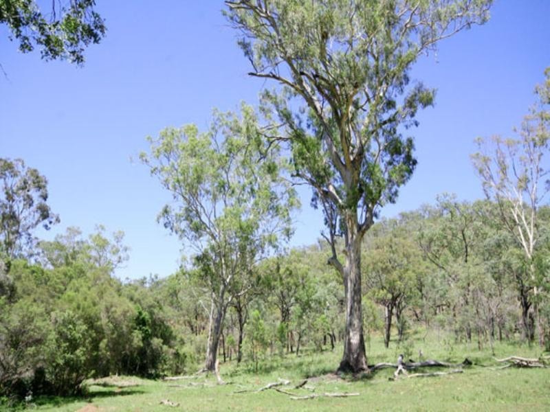 Biloela QLD 4715