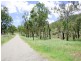 Biloela QLD 4715