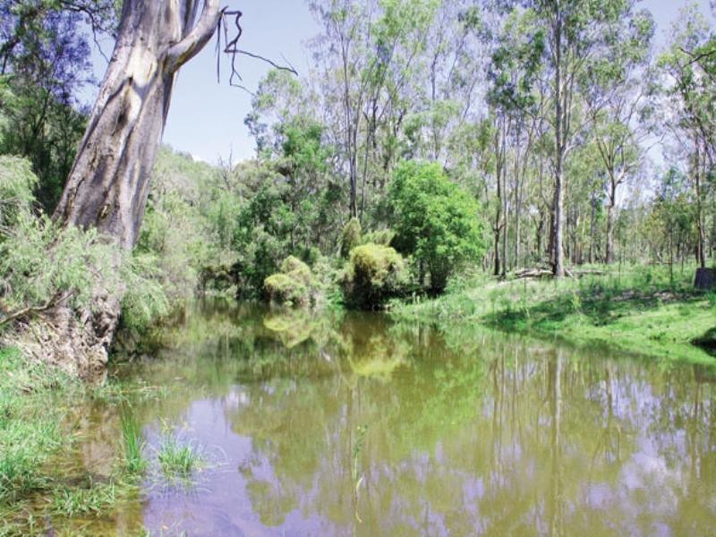 Biloela QLD 4715