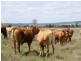 0 Mount Eagle Road, Eidsvold QLD 4627