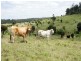 0 Mount Eagle Road, Eidsvold QLD 4627