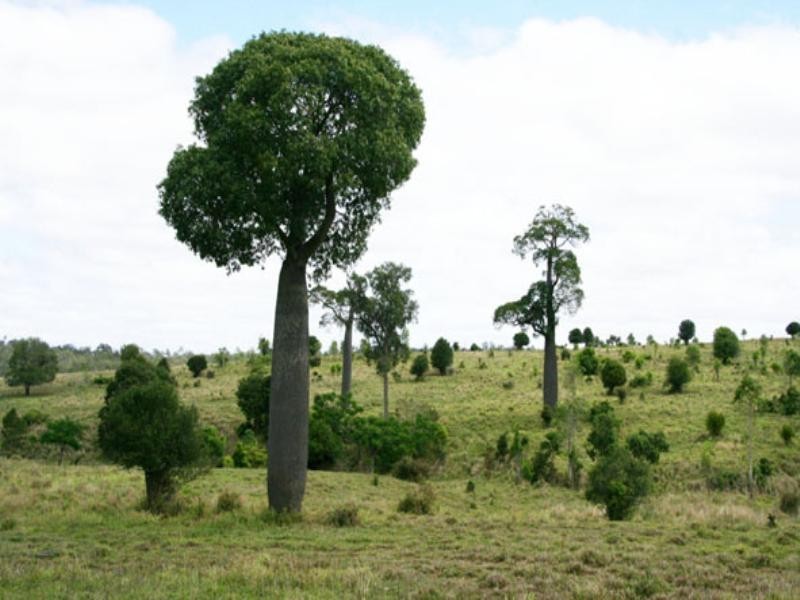 0 Mount Eagle Road, Eidsvold QLD 4627