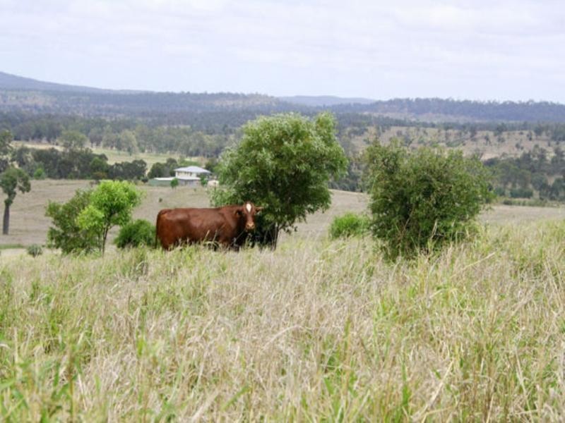 0 Mount Eagle Road, Eidsvold QLD 4627