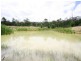0 Mount Eagle Road, Eidsvold QLD 4627