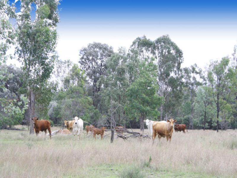 0 Mount Eagle Road, Eidsvold QLD 4627