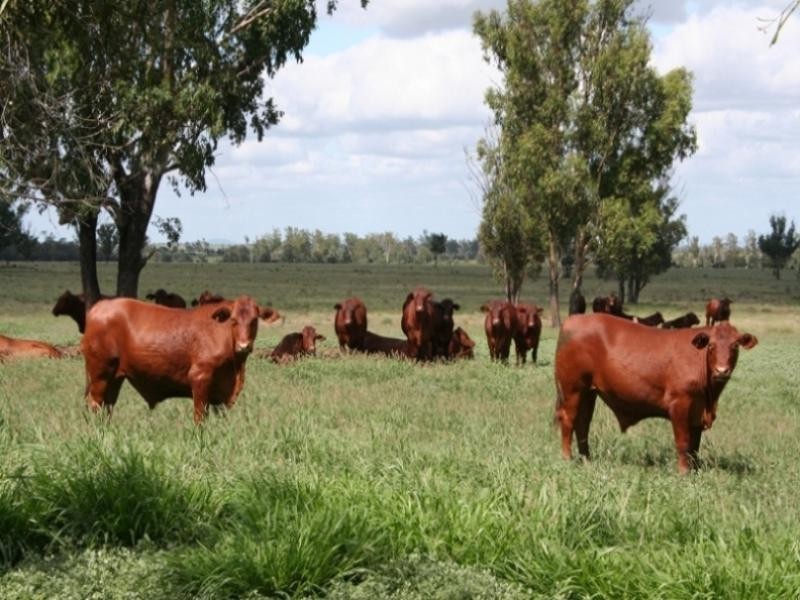 620 Fairview Road, Banana QLD 4702