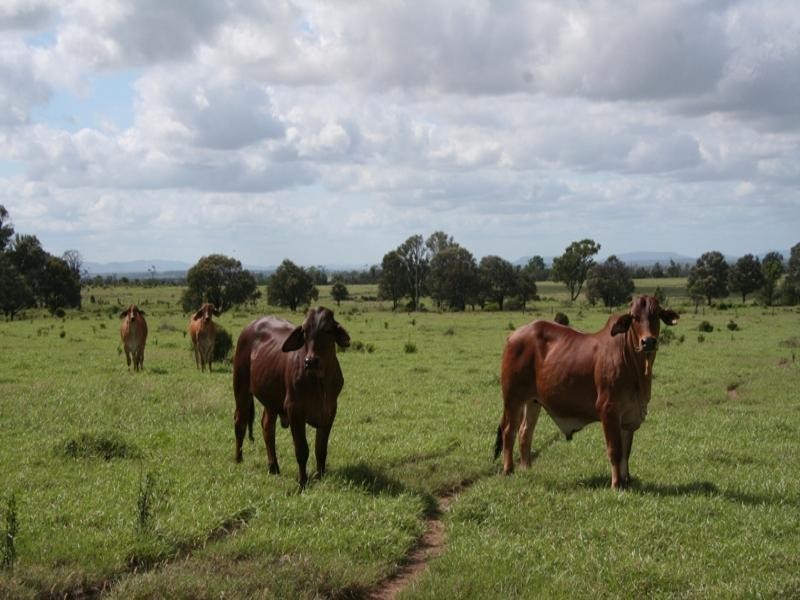 620 Fairview Road, Banana QLD 4702