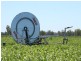 Mundubbera QLD 4626