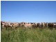 Mundubbera QLD 4626