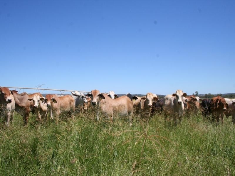 Mundubbera QLD 4626