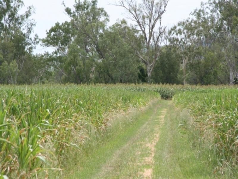 145 Calvale Road, Biloela QLD 4715