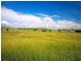 641 Semples Road, Biloela QLD 4715