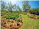 591 Halls Road, Thangool QLD 4716