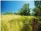 591 Halls Road, Thangool QLD 4716