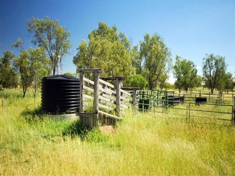 591 Halls Road, Thangool QLD 4716