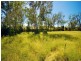 591 Halls Road, Thangool QLD 4716
