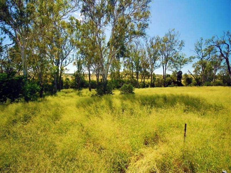 591 Halls Road, Thangool QLD 4716