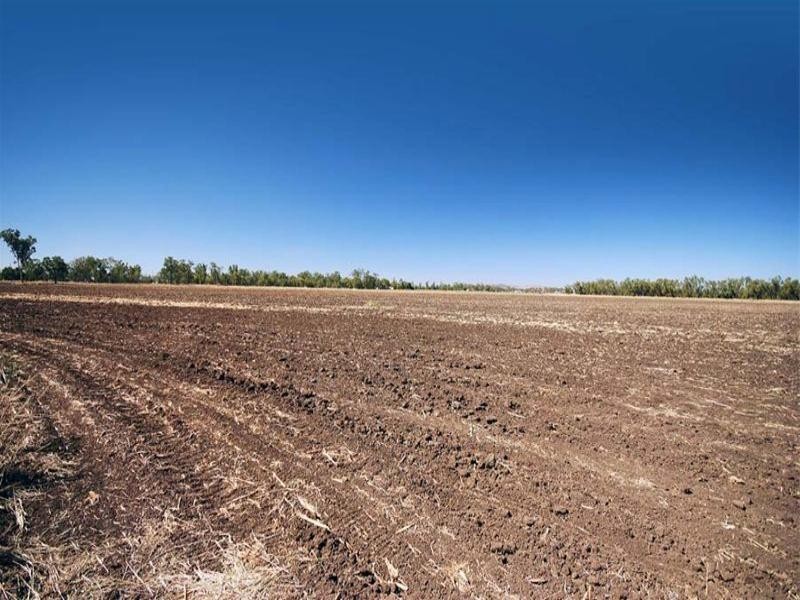 31 Zischkes Lane, Biloela QLD 4715