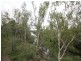 Moura QLD 4718