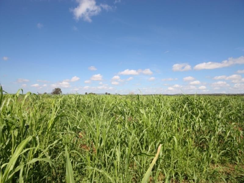 Dululu QLD 4702