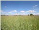 Dululu QLD 4702