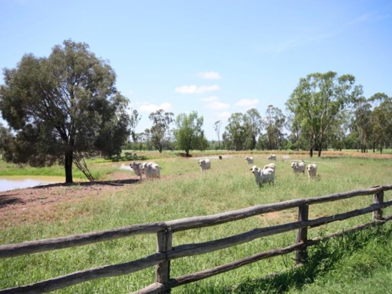 Dululu QLD 4702