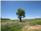 Dululu QLD 4702
