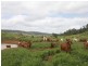 Monto QLD 4630
